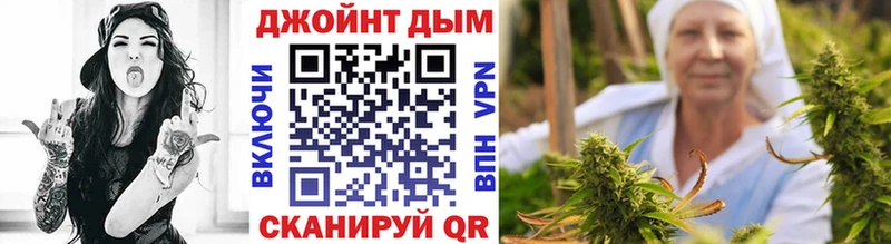 OMG   Порхов  Бошки марихуана марихуана  как найти  
